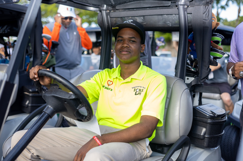 picture-in-golf-cart