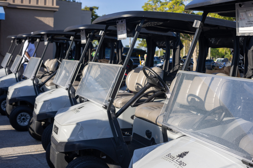 picture-in-golf-cart-2